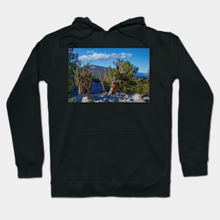 850_6872 Hoodie